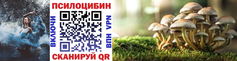 Купить где  Исилькуль  Псилоцибиновые грибы Psilocybe 